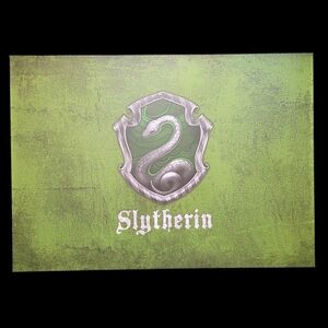 ⭐️Slytherin Displate Metal Wall Art